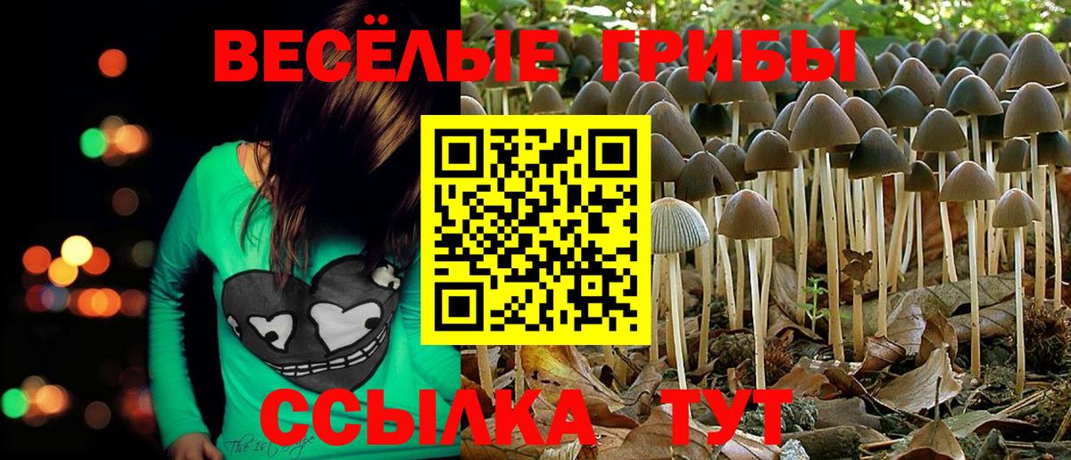 Галлюциногенные грибы Cubensis  Вход с VPN  Елабуга 