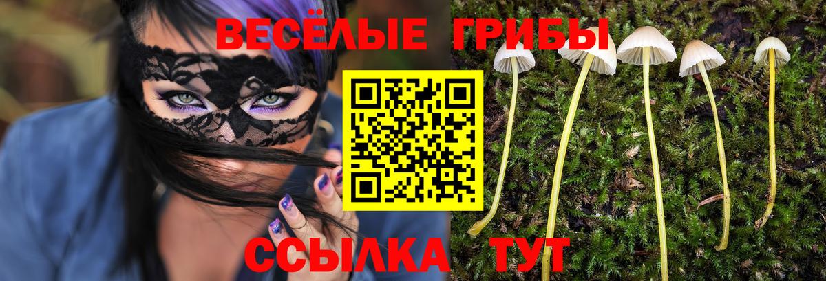 ГАШИШ Елабуга
